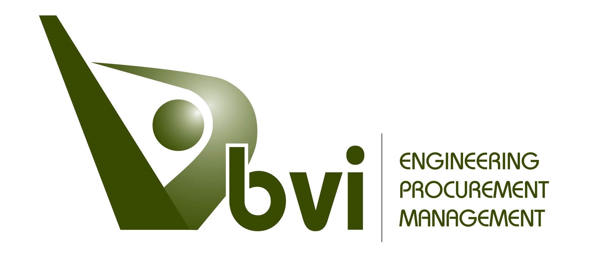 BVI-logo