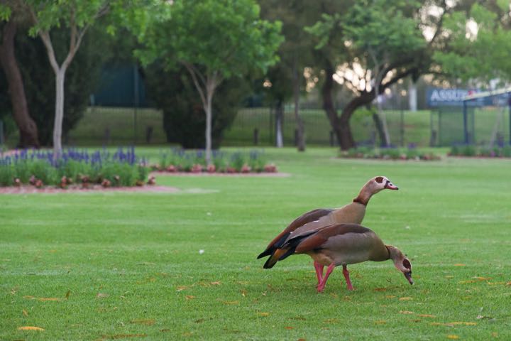 conference 2017 image99